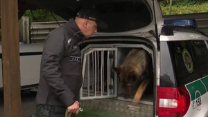 Muž po hádke odišiel z domu. Kysučanovi v poslednej chvíli život zachránil policajný pes Jack