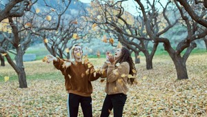 Veľký horoskop na november: Pre koho bude šťastným mesiacom a kto by nemal podceniť zdravie?