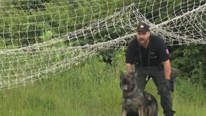 VIDEO: Policajné psy si zmerali sily na krajskej súťaži