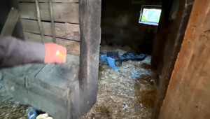 Štáb TV JOJ na Ukrajine: V dedinách oslobodených spod ruskej okupácie obyvatelia živoria v neľudských podmienkach