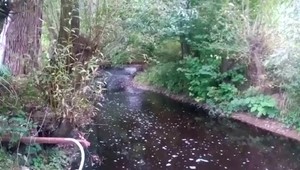 Zápach sa šíril okolím rieky. Obyvatelia tvrdia, že to nie je prvýkrát