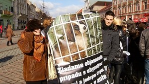 Protest psíčkarov! Do ulíc ich vytiahlo "auto smrti"