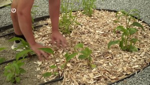 10 vecí, ktorým by ste sa mali vyhnúť, keď máte oslabenú imunitu