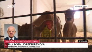 Štúdio 24: Odborník o nebezpečnej nákaze