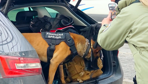 Polícia počas akcie skontrolovala stovky ľudí, odhalila drogy aj falošné doklady