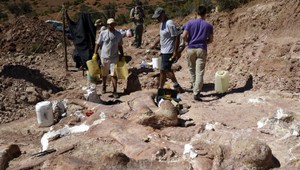 Najväčšieho dinosaura na svete našli v Argentíne