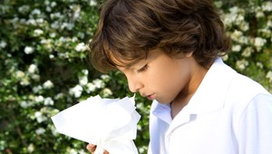 Uniesol mi syna do zahraničia a úrady mu pomohli, tvrdí matka