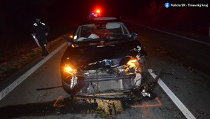 Opitý vodič zrazil jeleniu rodinu. Nafúkal viac ako 1,5 promile