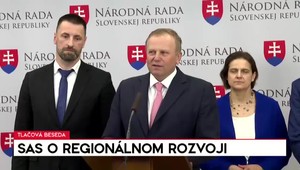 Tlačová beseda strany SaS o regionálnom rozvoji