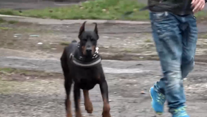 V meste robil rozruch, povyzliekal sa a čakal na políciu