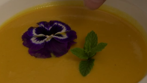 Polievka: Mrkvová polievka