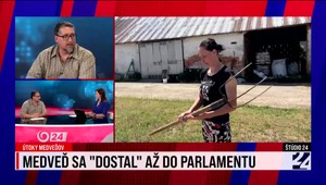 Štúdio 24 o medveďoch