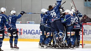 Máme sa na čo tešiť!