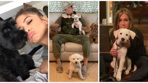 Celebrity milujú svojich štvornohých miláčikov: Tieto fotky to dokazujú!