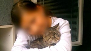 Neuveriteľná krutosť! Tínedžer (15) dopichal mačku dáždnikom