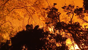 V  Kalifornii zúri ničivý požiar. Zničil už aj historické mesto