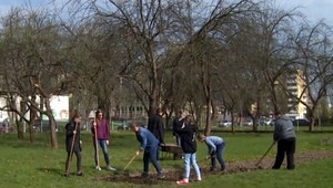 Namiesto školského sadu parkovisko. Učitelia sa búria