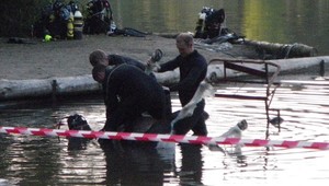 Rómovia brutálne utopili nevinného poníka