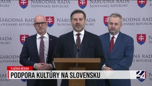 Tlačová beseda SaS o podpore kultúry na Slovensku