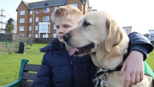 Pes záchranca. Caddie vrátil chuť do života autistickému chlapcovi