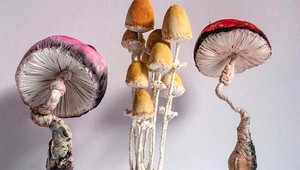 Rakúska umelkyňa vyrába bizarné veci z textilu