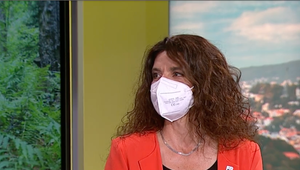 Riaditeľka WWF Slovensko: Je dôležité zabrániť motivácii medveďov neodchádzať z ich prirodzeného prostredia