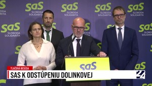 Tlačová beseda strany SaS k odstúpeniu Dolinkovej