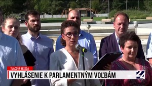 Tlačová beseda strany Jablko k voľbám