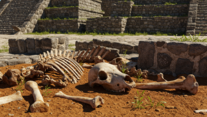 Niečo temné stálo za aztéckou zoo. Archeológovia majú stopy