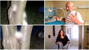 Muž (62) vypichol mačke oči, obesil ju a pobil sa so susedom