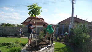 Chcete zväčšiť úrodu až o tretinu? Začať musíte už v auguste