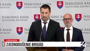 Tlačová beseda SaS o zjednodušení brigád