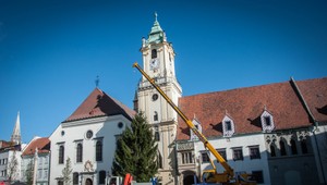 Na Hlavnom námestí už stojí vianočný stromček