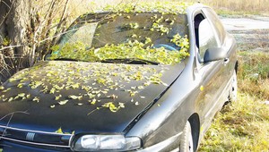 Opitý Španiel sadol za volant, v Piešťanoch havaroval