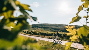6 najkrajších oblastí v Dolnom Rakúsku, do ktorých sa oplatí vyraziť na cyklistiku