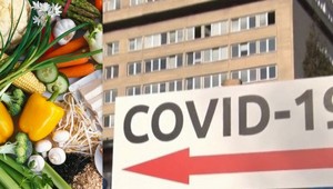 Aby naše telo dokázalo odolávať vírusom, potrebuje pestrú stravu. Odborníci upozorňujú na túto chybu