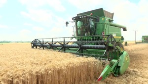 Slováci nemajú záujem o prácu v agrosektore. Odrádzajú ich nízke mzdy. Nahrádzajú ich cudzinci