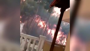 Obkolesení ničivými plameňmi, prečkali zúrenie ohňa otec so synom