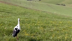 O Vavrincovi nemajú správy už vyše mesiaca. Nie je vylúčené, že ho zastrelili