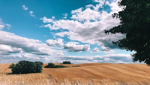 Neuveríte, že tieto fotky sú z mobilu: Apple vybral 10 najlepších záberov z výzvy Shot on iPhone