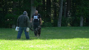 Váš pes niekoho pohryzol? Ak to nenahlásite, hrozí vám problém