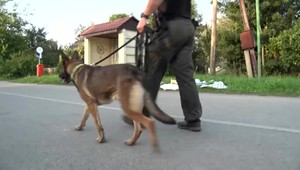 Novorodenca našla okoloidúca v krabici na autobusovej zastávke. Polícia vypátrala jeho rodičov