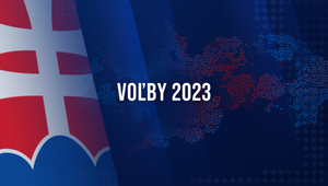 Prehľad výsledkov prieskumov k budúcej vláde: Toto je ideálny vládny program podľa voličov