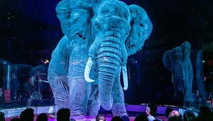Nemecký cirkus namiesto skutočných zvierat predvádza úchvatné hologramy