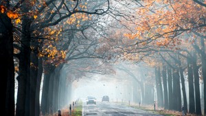 Babie leto potrvá až do konca týždňa. Bude teplo a slnečno
