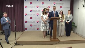 Tlačová beseda strany SaS o aktuálnych témach
