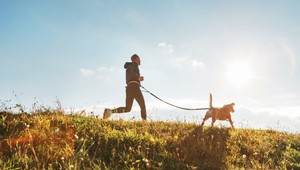 Toto ste možno netušili: aké benefity má kolagén pre psy? Vyberte im ten najlepší