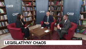 Analýzy 24: Zdá sa mi to pokrytecké, tvrdí k referendu Dostál