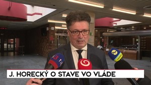 Rozhovory 24: Ján Horecký rozpráva o zahraničnej politike, stave vlády a protestoch