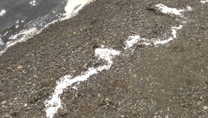 Biela záhada na brehoch Zemplínskej Šíravy. Na jednej z pláží sa objavili polystyrénové guličky